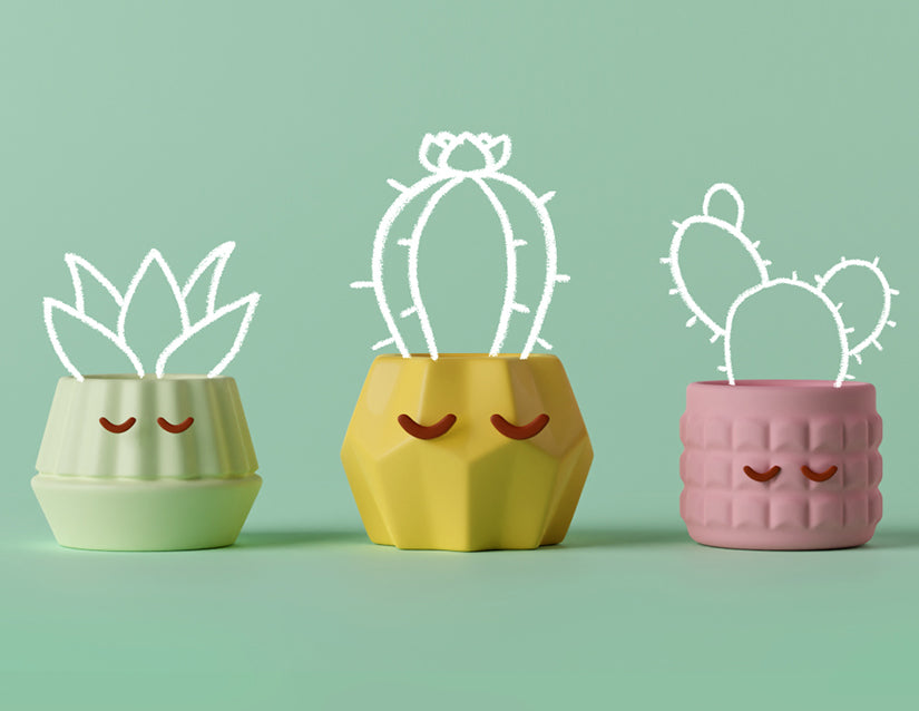 Zen Plants Greeting Card