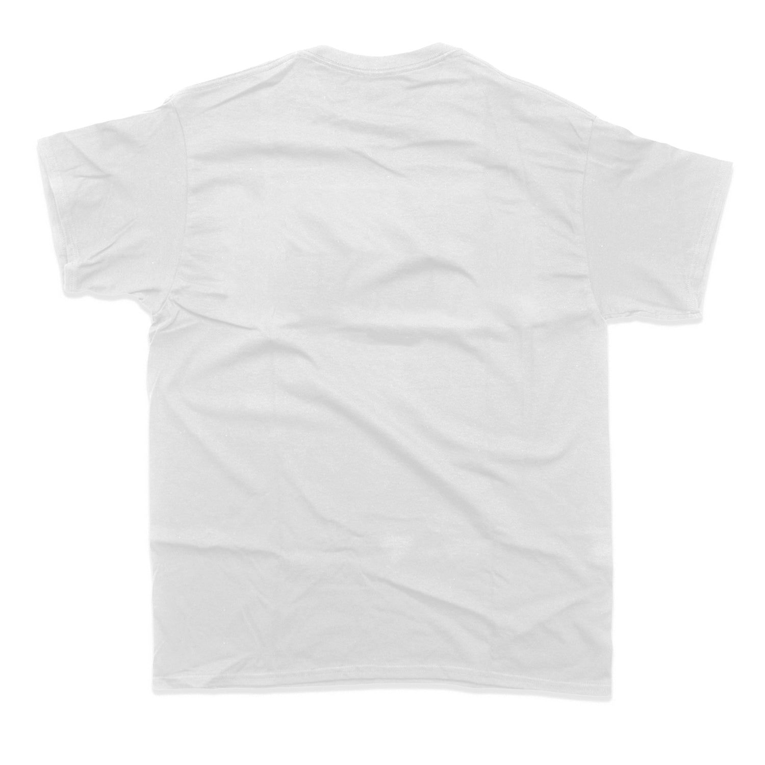 Raccoon Skater in Clouds T-Shirt