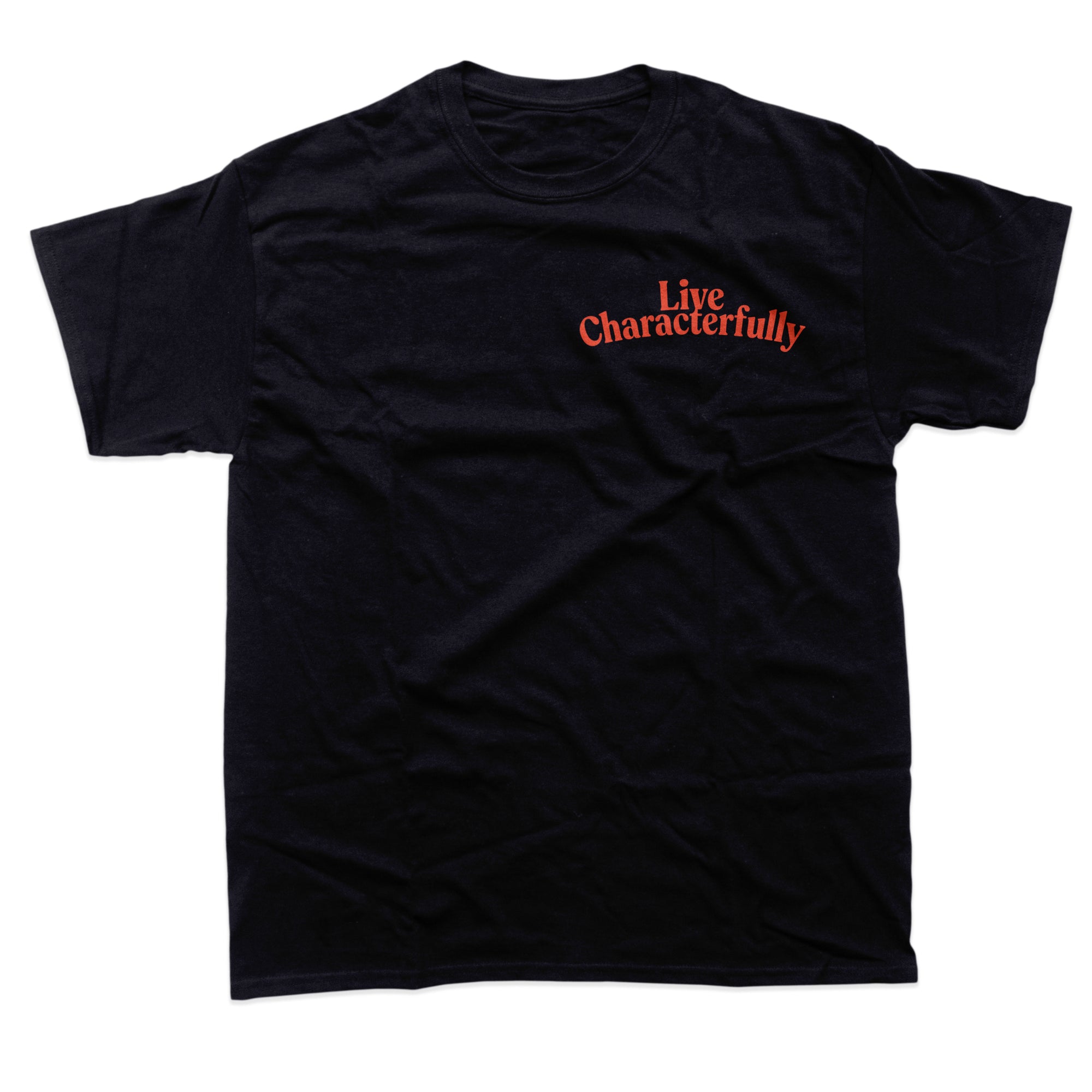 Van life Box T-Shirt